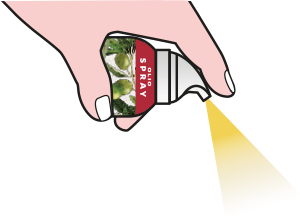 Erogazione spray
